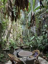 A Hidden Oasis in Melaka: The Baboon House Experience