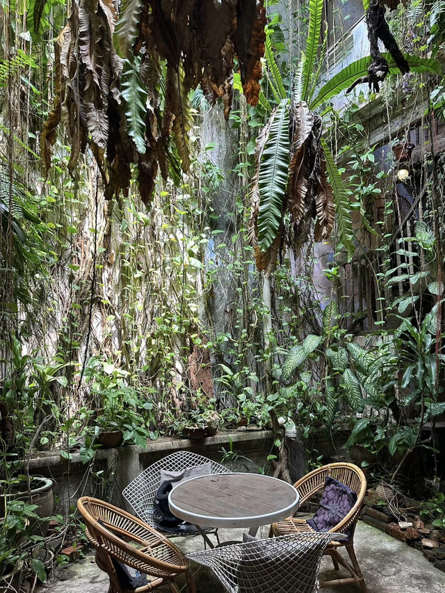 A Hidden Oasis in Melaka: The Baboon House Experience