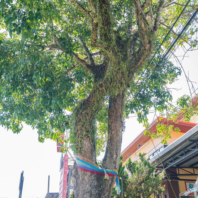 แพลนเที่ยวใต้ 3 จังหวัด 3 สไตล์ สงขลา พัทลุง ตรัง