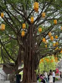 Baiyun mountain ภูเขาไป่หยุน