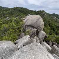 【金勝アルプス】⛰️　関西百名山〜鶏冠山・天狗岩・竜王山