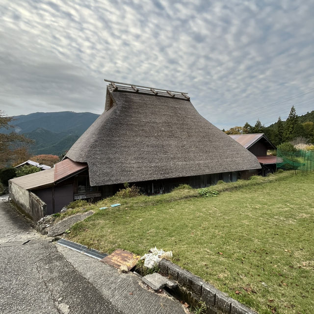 【大洞山〜尼ヶ岳】⛰️ 関西百名山