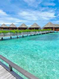 Maldives Bliss: Where Every Moment Feels Like Magic