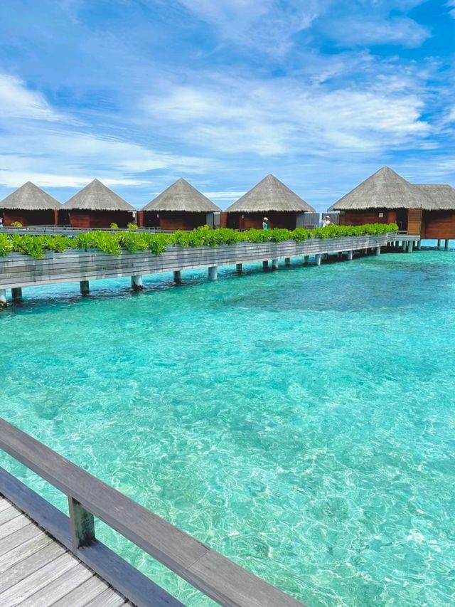 Maldives Bliss: Where Every Moment Feels Like Magic