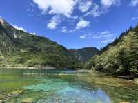 A Dream in Color: Reflections After Visiting Jiuzhaigou 
