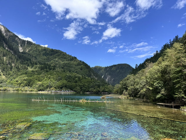 A Dream in Color: Reflections After Visiting Jiuzhaigou 