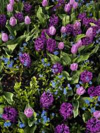 Butchart Gardens