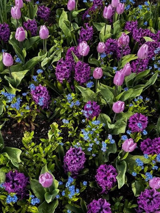 Butchart Gardens