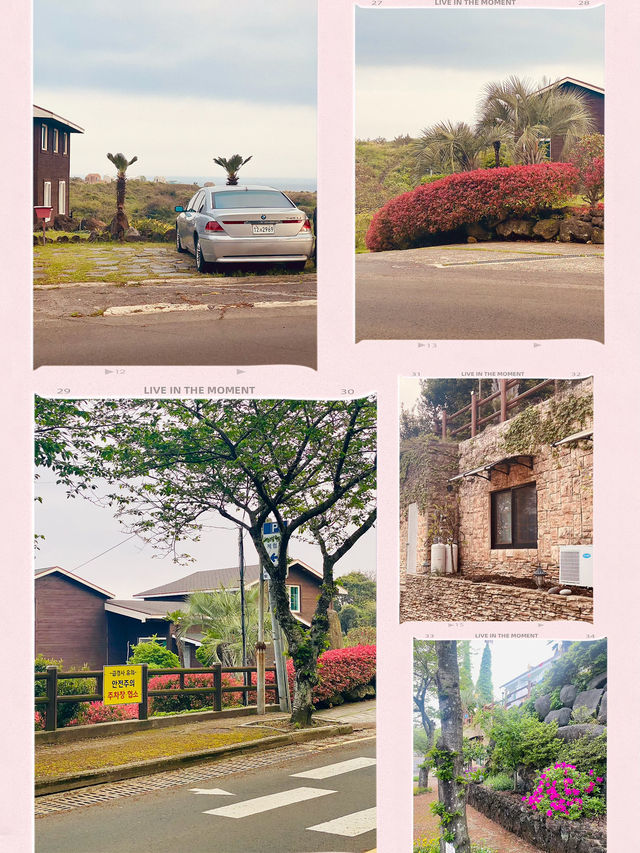 Seogwipo's Flower-Lined Roads in April