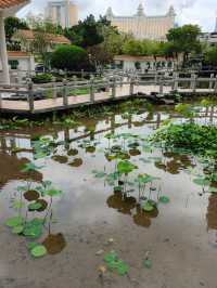 很舒適，很寫意的一個散步🚶‍♀️公園