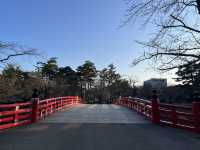 【青森】4月の青森の魅力をご紹介❄️part2