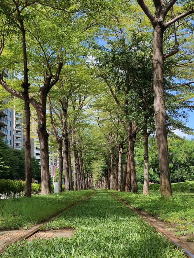 #高雄輕軌綠色隧道（龍貓隧道）-高雄市鼓山區