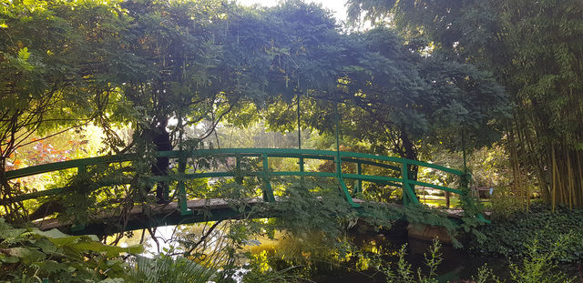 🎨 Fondation Monet in Giverny – 모네의 정원, 꿈같은 아침