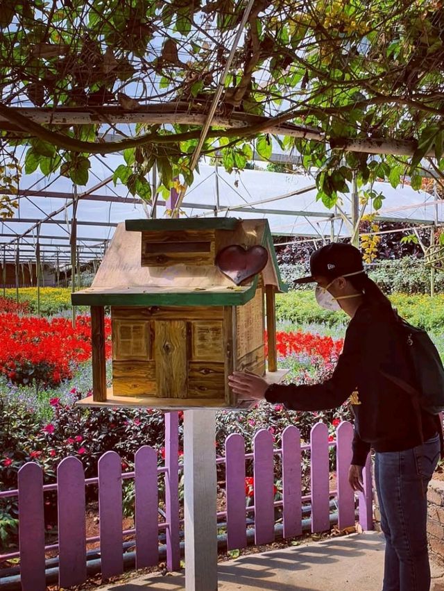 🍓 A Sweet Retreat at Genting Strawberry Leisure Farm!