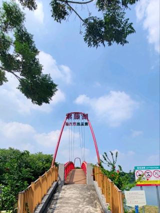 #紫籐湖-雲林縣斗六市