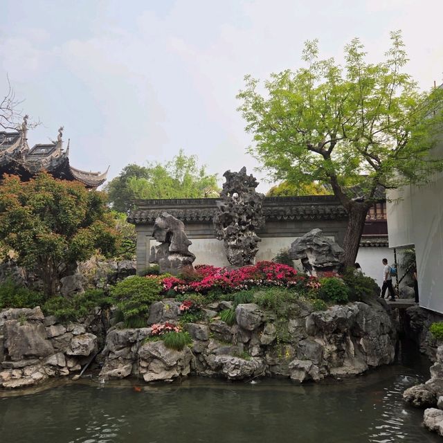 รีวิวสวนอี้หยวน (Yuyuan Garden) เซี่ยงไฮ้ 🌿🌸