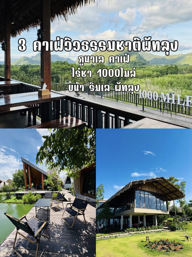 3 คาเฟ่วิวธรรมชาติพัทลุง สายชิลล์ต้องไม่พลาด