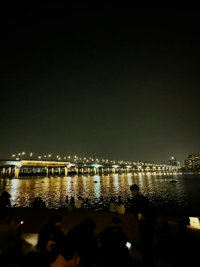 Springtime in Seoul: A Season of Blossom