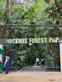 A Breath of Fresh Air: Discovering Arroceros Forest Park 