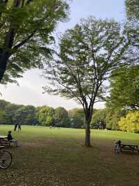 【都内で自然さんぽ】神代植物公園