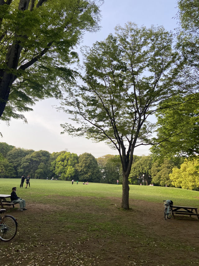 【都内で自然さんぽ】神代植物公園