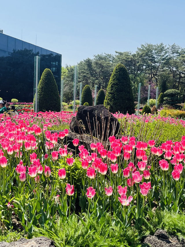 Late April Visit in Byukchoji Gardens 