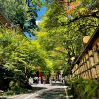 中井神社·隱秘靜謐