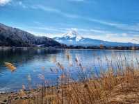Fuji San