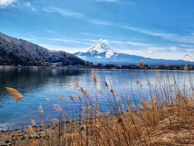 Fuji San