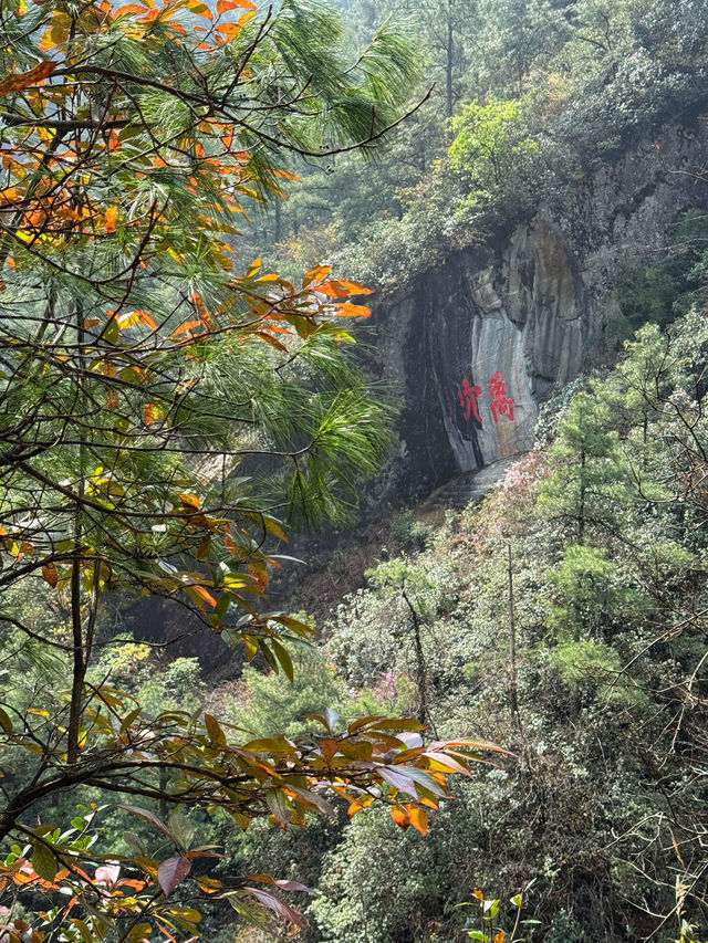 Floating into Spring: Riding the Cangshan Gantong Cable Car in Dali
