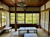 【静岡県 下田市】金谷旅館