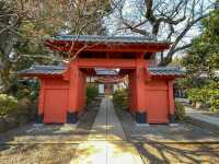 วัดโกโทคุจิ (Gotokuji Temple)