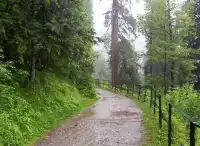 Islamabad to Murree Trip plan