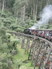 🚂✨ 乘坐墨爾本的Puffing Billy小火車