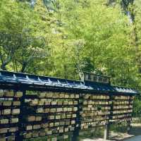 Kibitsu Shrine, Okayama – A Moment of Tranquility