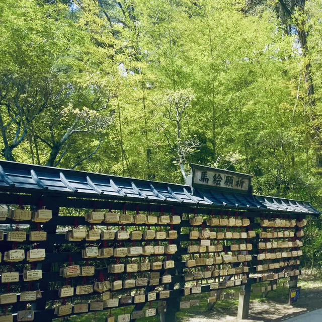 Kibitsu Shrine, Okayama – A Moment of Tranquility