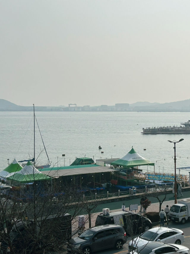 바다와 갈매기가 반겨주는 목포 평화광장, 가족여행지로 딱!🤍☀️