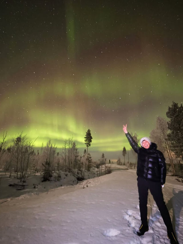 The Ultimate Arctic Wonderland