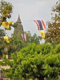 วัดป่าพุทธคยา Watpa India 