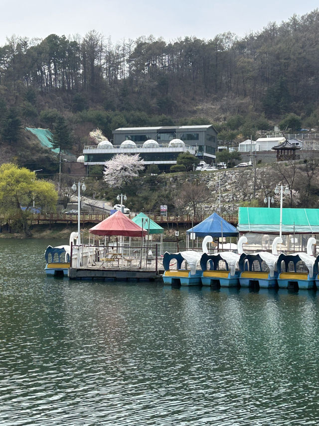청주 명암저수지, 힐링 산책 데이트 추천🤍🍀🌱