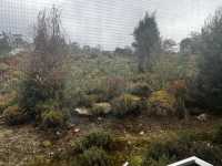 Great Staycation at Cradle Mountain Hotel