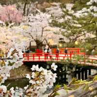 Hirosaki Castle: Northern Japan’s Cherry Blossom Jewel