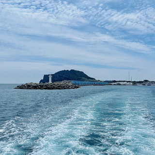 제주도에 가면 꼭 가봐야 하는 우도 여행🥜
