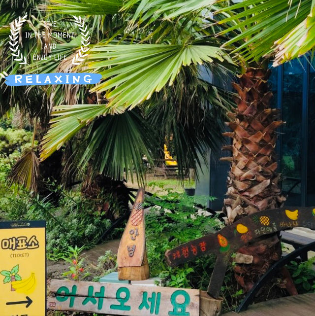 A Visit to Jeju Yujinfang Tropical Fruit Farm