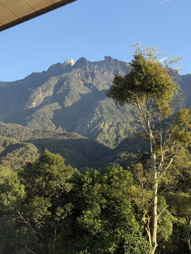 Kundasang view in The Pampines Villa ⛰️