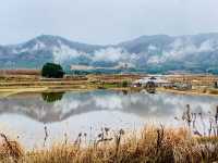 鹿兒島觀鳥勝地