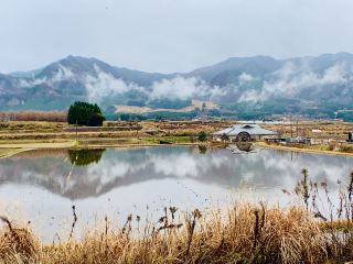 Kagoshima's Bird-Watching Paradise