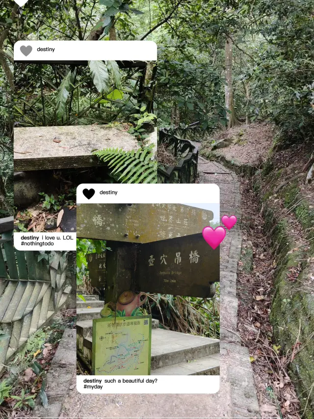 好有特色,一個山徑🤨