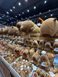 Perfect place for toys lover