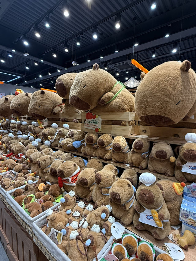 Perfect place for toys lover
